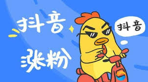  2026 抖音涨粉最新玩法