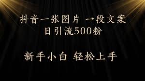 想快速涨粉?很多人已经在用这个办法